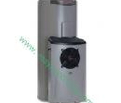 Rheem 551325 (325 lít)