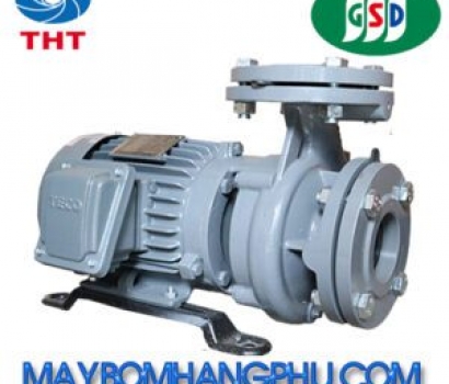 MÁY BƠM LY TÂM TRỤC NGANG ĐẦU GANG GSD G3100-150-2P-100HP