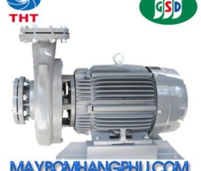 MÁY BƠM LY TÂM TRỤC NGANG ĐẦU GANG GSD G3125-300-4P-125HP