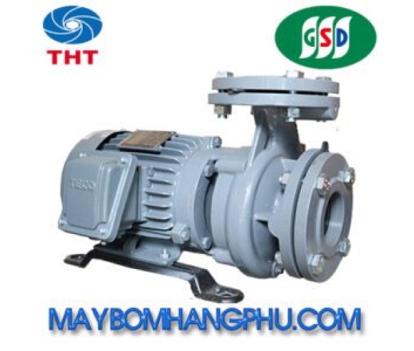 MÁY BƠM LY TÂM TRỤC NGANG ĐẦU GANG GSD G360-100-2P-60HP MÁY BƠM LY TÂM TRỤC NGANG ĐẦU GANG GSD G360-100-2P-60HP