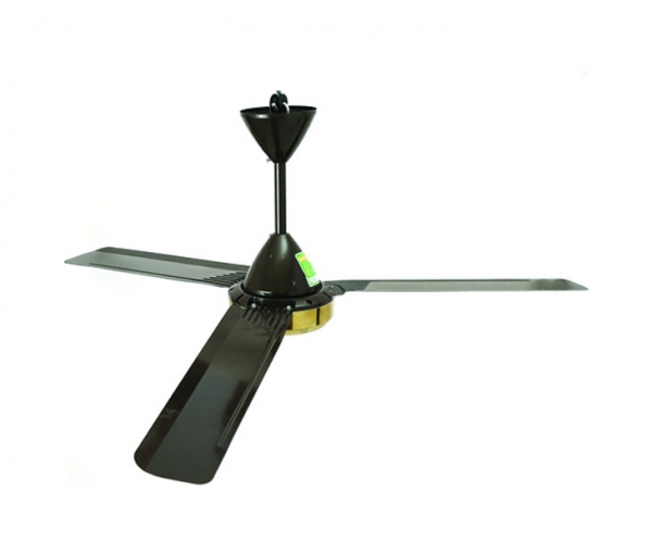 Quạt Trần KDK N56-YG Quạt Trần KDK N56-YG