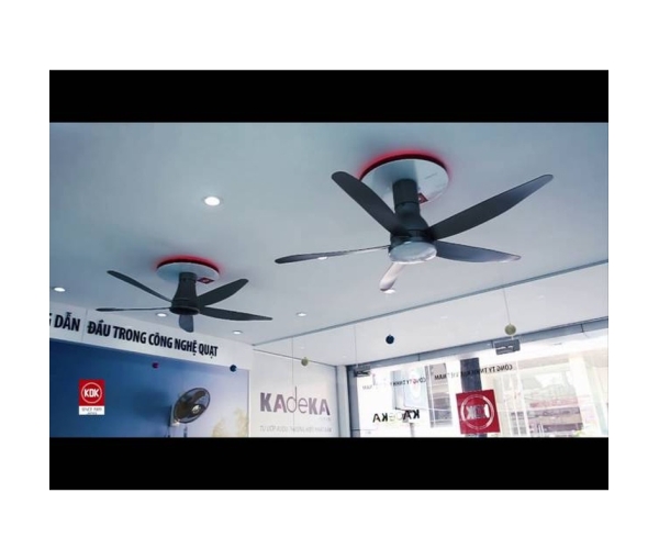 Quạt Trần KDK U60FWS (có các option U60FWS(BK), U60FWS(SIL) (Màu Bạc Sáng), U60FWS(WH) (Màu Trắng))