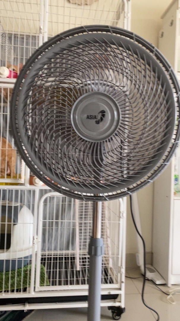 Ảnh review Quạt đứng Asian Turbo Plus VY639, 3 màu, 4 cấp gió từ khách hàng 5