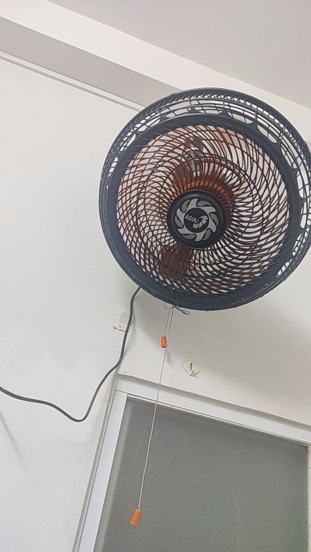 Ảnh review Quạt treo tường Asia Turbo Plus VY637892 từ khách hàng 2
