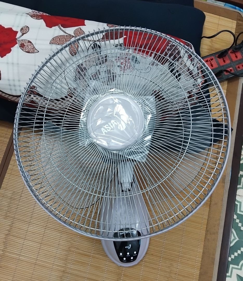 Ảnh review Quạt treo tường Asia VY377, 16