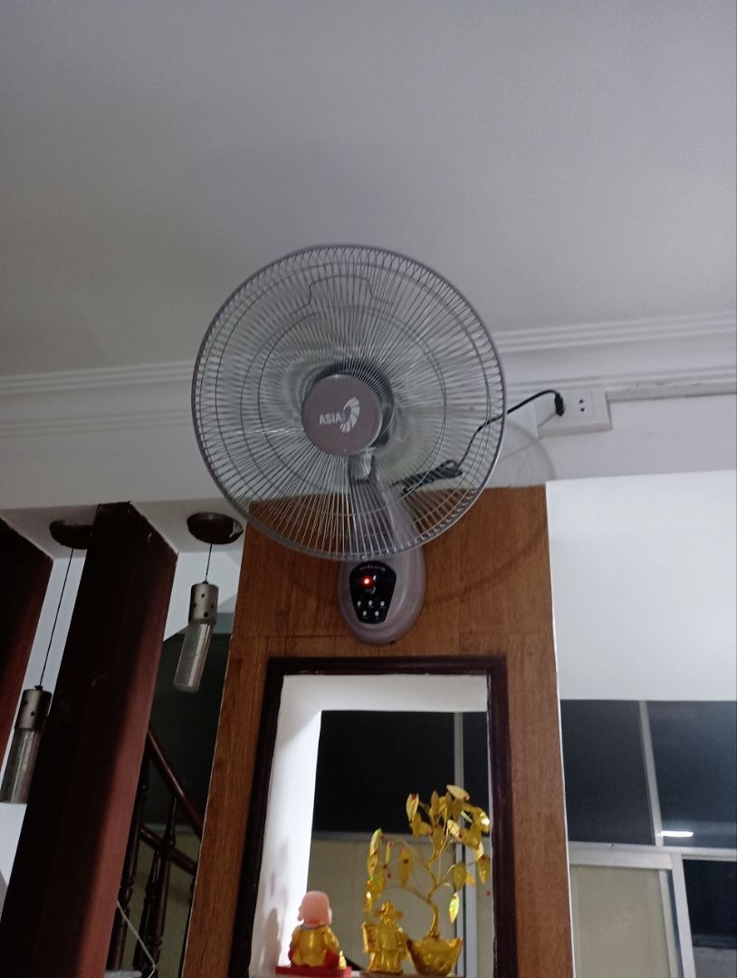 Ảnh review Quạt treo tường Asia VY377, 16