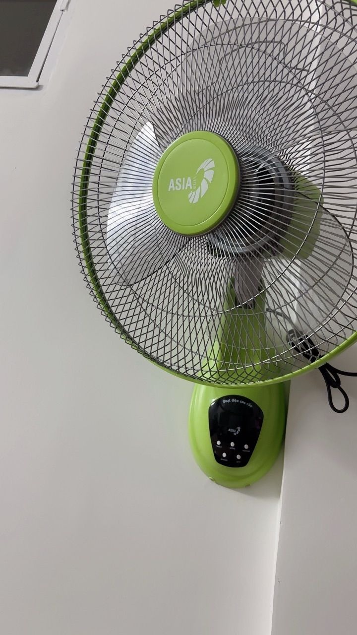 Ảnh review Quạt treo tường Asia VY377, 16